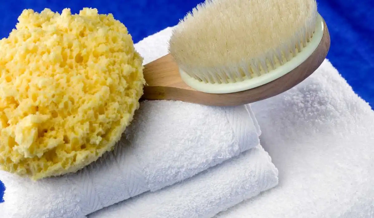 3 Best Back Scrubber Brushes for Seniors to Keep Skin Healthy and Radiant