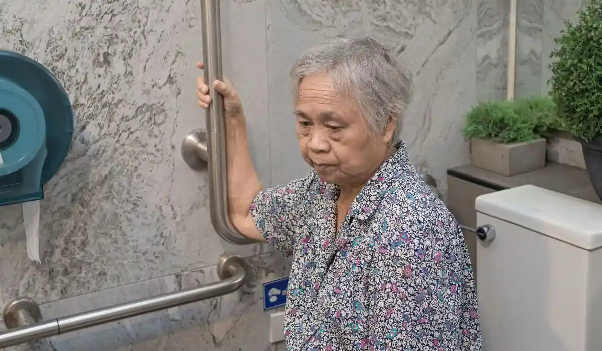 best toilet safety rails for the elderly