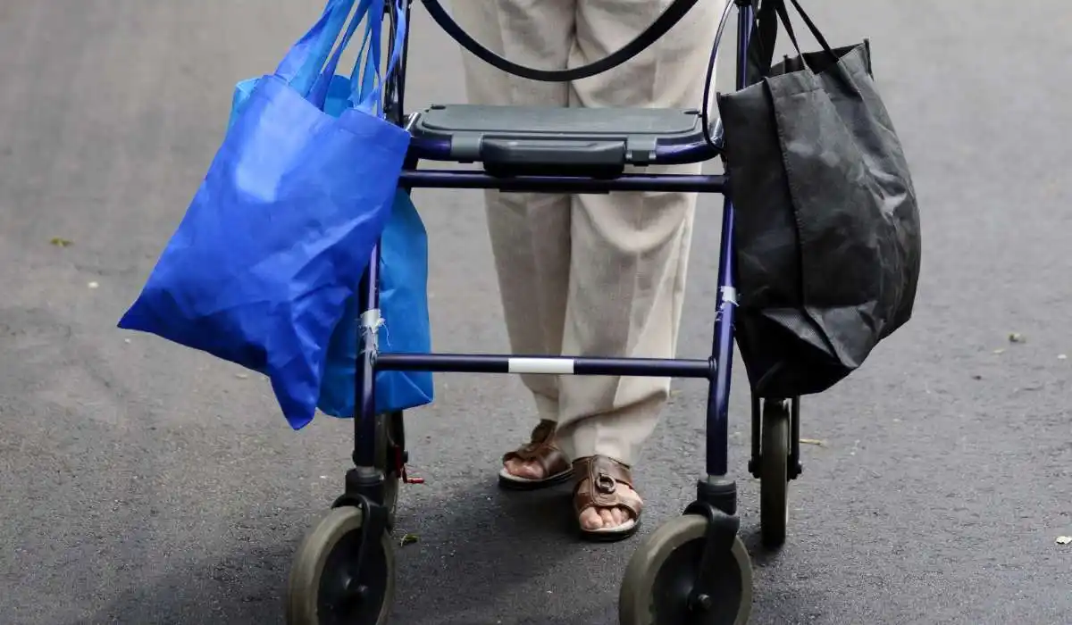 5 Best Walker Bags for Seniors – Stylish and Practical Options for Your Mobility Needs